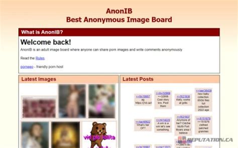 anon social nudes|AnonIBX